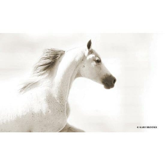 Penny Lane Publishing Dash III By Kari Brooks Art Print - 12 X 18