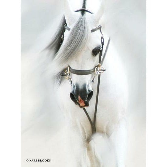 Penny Lane Publishing Dream Horse By Kari Brooks Art Print - 12 X 16