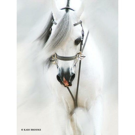 Dream Horse By Kari Brooks Art Print - 12 X 16-Penny Lane Publishing-The Village Merchant