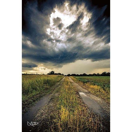 Penny Lane Publishing Embrace The Storm I By Donnie Quillen Art Print - 12 X 18
