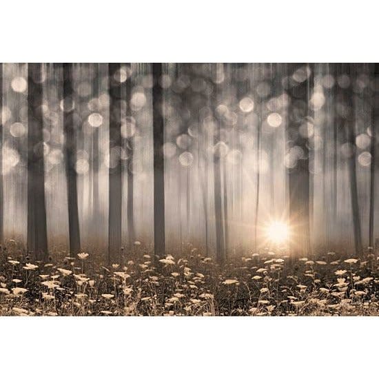 Penny Lane Publishing Enchanted Morning By Lori Deiter Art Print - 12 X 18