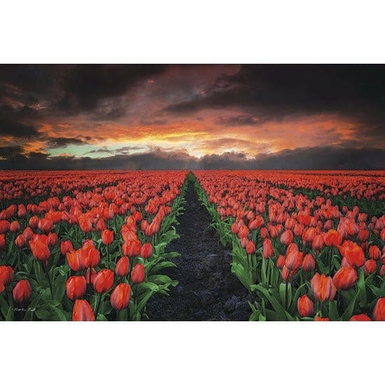 Penny Lane Publishing Endless Fields By Martin Podt Art Print - 12 X 18