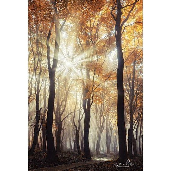 Explosion By Martin Podt Art Print - 12 X 18-Penny Lane Publishing-The Village Merchant