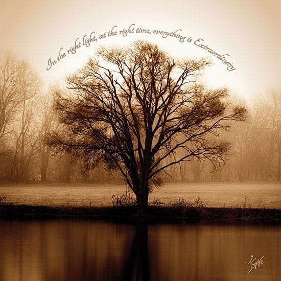 Penny Lane Publishing Extraordinary By Justin Spivey Art Print - 12 X 12