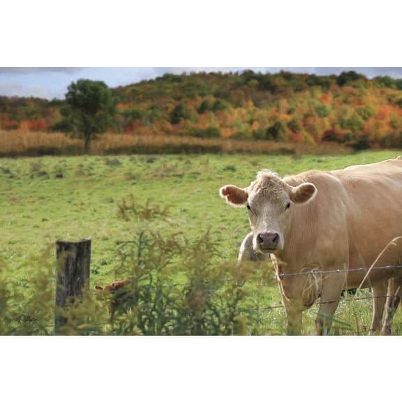 Penny Lane Publishing Fall Cow By Lori Deiter Art Print - 12 X 16