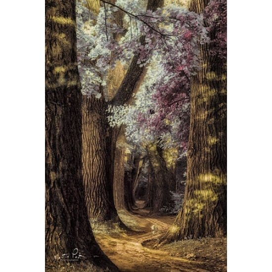 Fluffy Road By Martin Podt Art Print - 12 X 18-Penny Lane Publishing-The Village Merchant