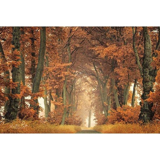 Follow Your Own Way By Martin Podt Art Print - 12 X 18-Penny Lane Publishing-The Village Merchant