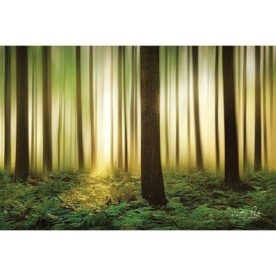 Forest In Motion By Martin Podt Art Print - 12 X 18-Penny Lane Publishing-The Village Merchant