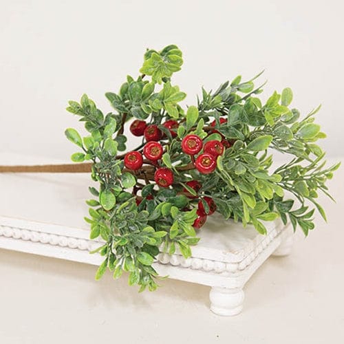 Frosted Boxwood &amp; Gooseberry Pick / Spray 14&quot; High