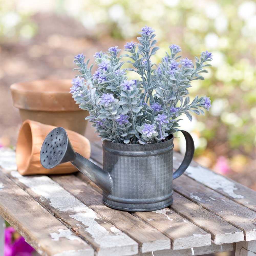 Galvanized Metal Mini Watering Can With Handle-CTW Home-The Village Merchant