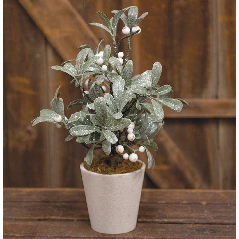Glittered Mistletoe Iced Kissed Potted Tree 15&quot; High-Craft Wholesalers-The Village Merchant