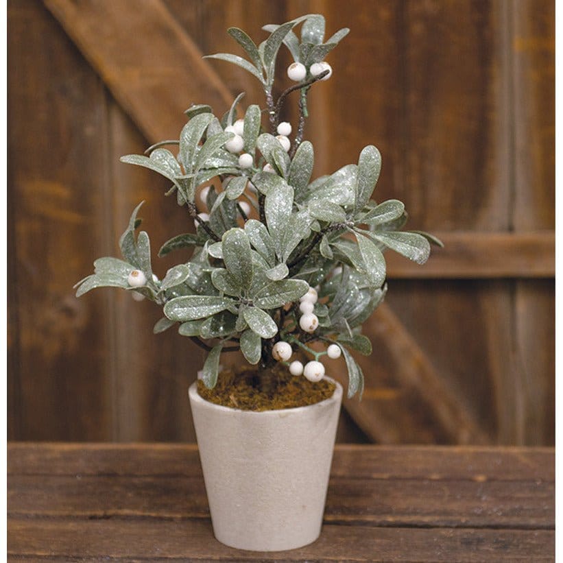 Glittered Mistletoe Iced Kissed Potted Tree 15" High-Craft Wholesalers-The Village Merchant