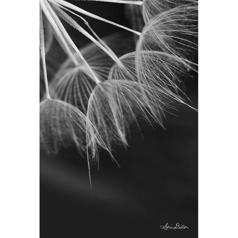 Penny Lane Publishing Goatsbeard I By Lori Deiter Art Print - 12 X 18