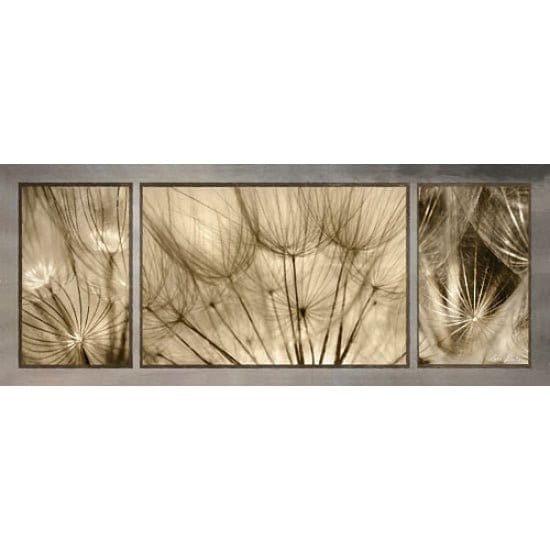 Penny Lane Publishing Goatsbeard Trio By Lori Deiter Art Print - 8 X 20