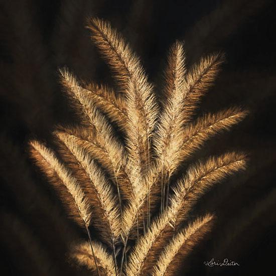 Penny Lane Publishing Golden Grass II By Lori Deiter Art Print - 12 X 12
