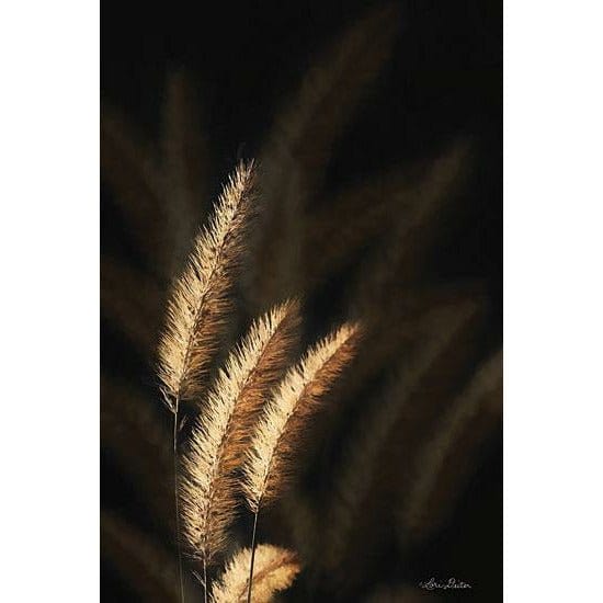 Golden Grass III By Lori Deiter Art Print - 12 X 18-Penny Lane Publishing-The Village Merchant