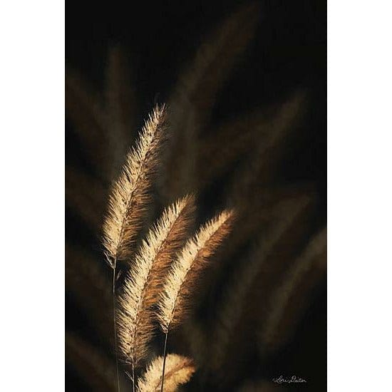 Penny Lane Publishing Golden Grass III By Lori Deiter Art Print - 12 X 18