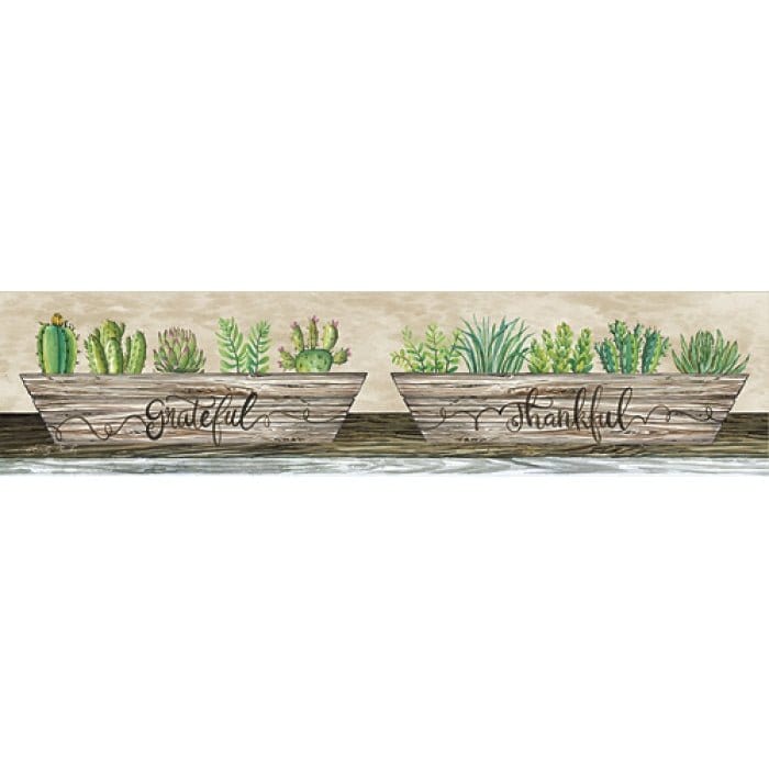 Penny Lane Publishing Grateful & Thankful Succulents By Cindy Jacobs Art Print - 5 X 20