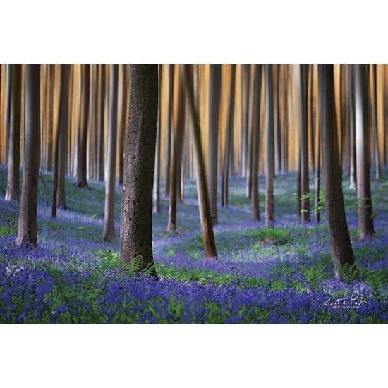 Penny Lane Publishing Hallermotion By Martin Podt Art Print - 12 X 18