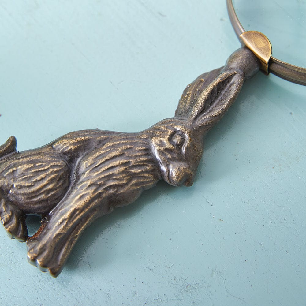 Hare Bunny Magnifying Glass