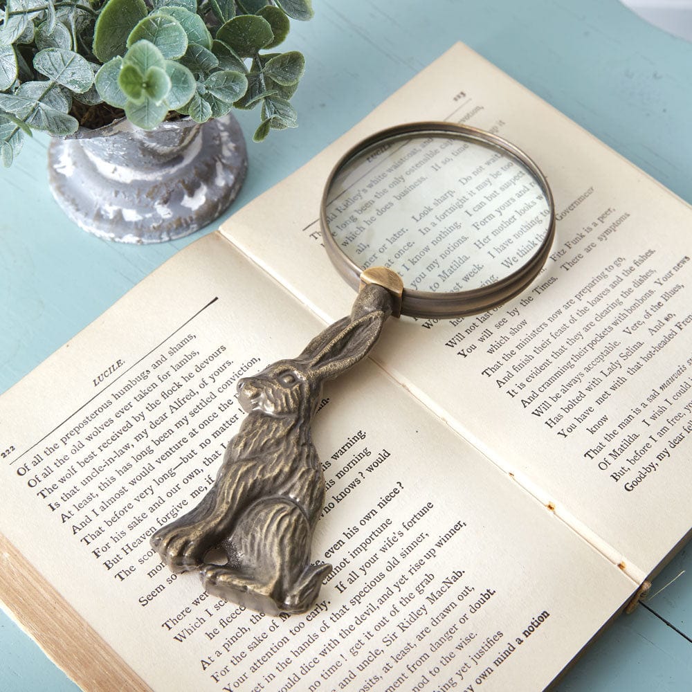 Hare Bunny Magnifying Glass