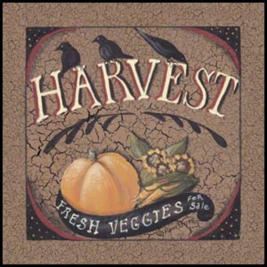 Harvest By Pam Britton Art Print - 6 X 6-Penny Lane Publishing-The Village Merchant