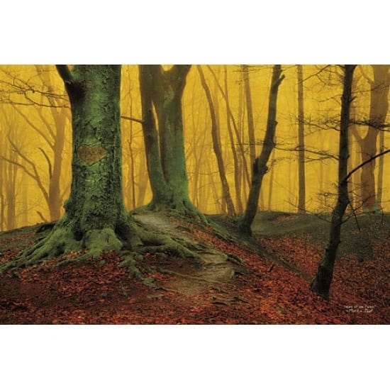 Heart Of The Forest By Martin Podt Art Print - 12 X 18-Penny Lane Publishing-The Village Merchant