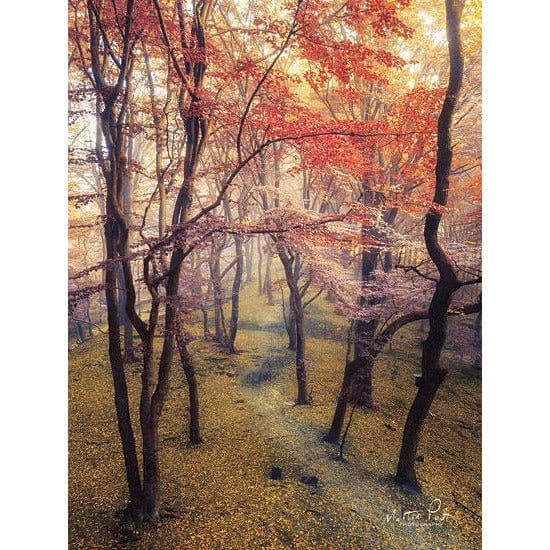 High Up In The Trees By Martin Podt Art Print - 12 X 16-Penny Lane Publishing-The Village Merchant