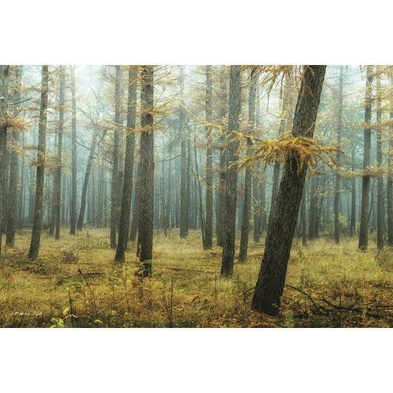 Penny Lane Publishing Holterberg In The Mist By Martin Podt Art Print - 12 X 18