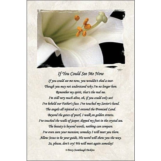 Penny Lane Publishing If You Could See Me Now II By John Jones Art Print - 12 X 18