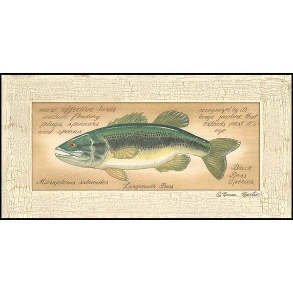 Large Mouth Bass By Becca Barton Art Print - 8 X 16-Penny Lane Publishing-The Village Merchant