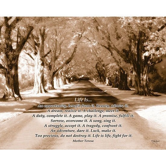 Life Is... By John Jones Art Print - 16 X 20-Penny Lane Publishing-The Village Merchant