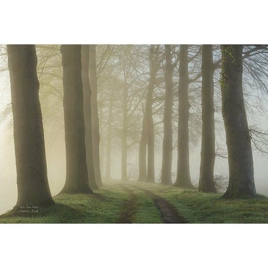 Penny Lane Publishing Lights Shine Bright By Martin Podt Art Print - 12 X 18