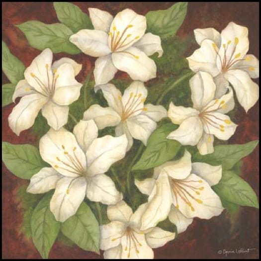 Lilies In Bloom By Annie La Point Art Print - 8 X 8-Penny Lane Publishing-The Village Merchant