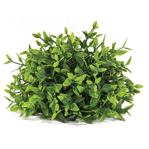 Lush Green Lemon Beauty Half Sphere 5.5" Diameter