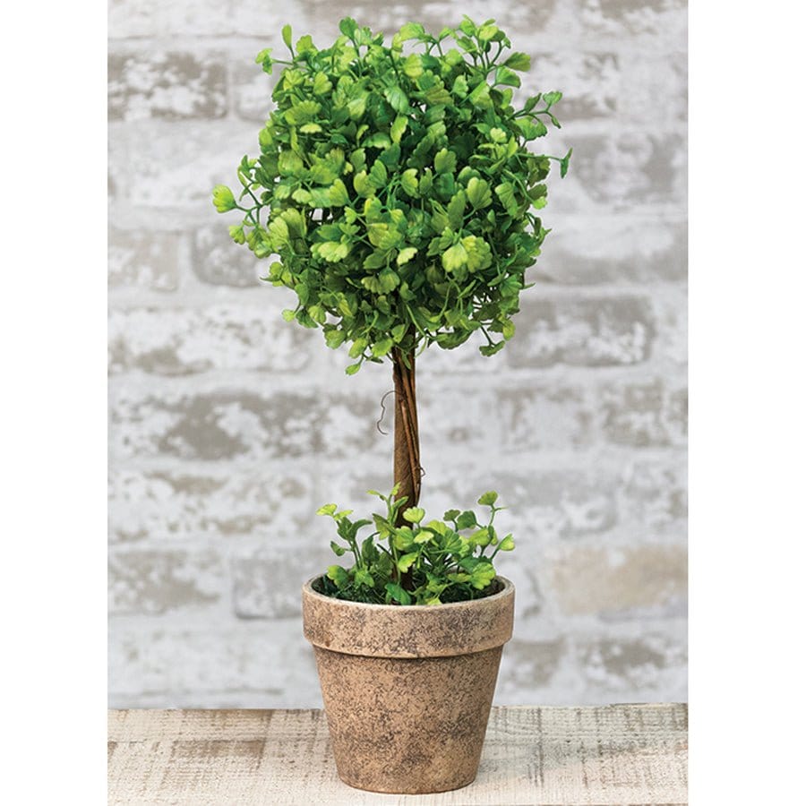 Maiden Hair Fern Potted Ball Topiary 14" High-Craft Wholesalers-The Village Merchant