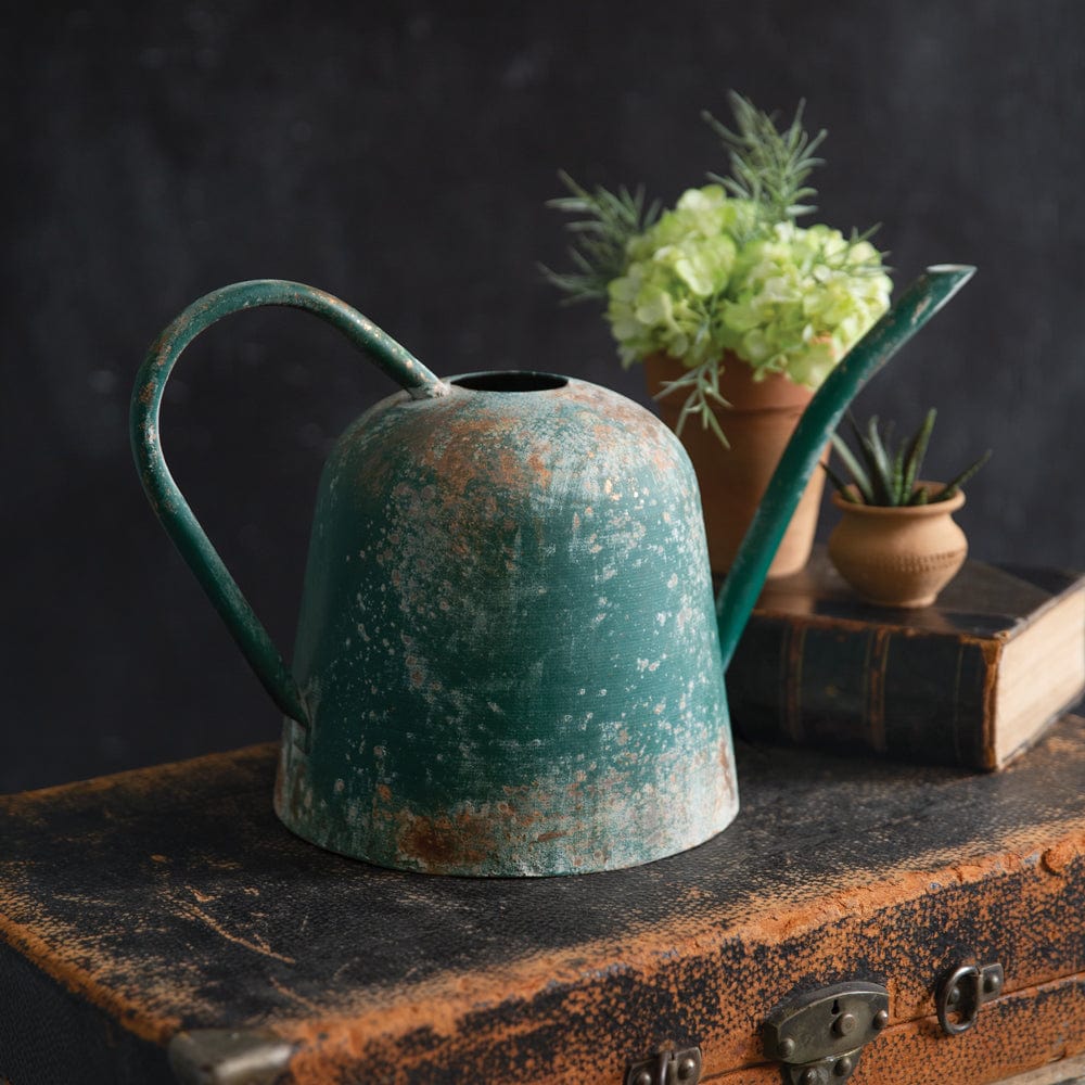 Metal Garden Luster Watering Can With Handle