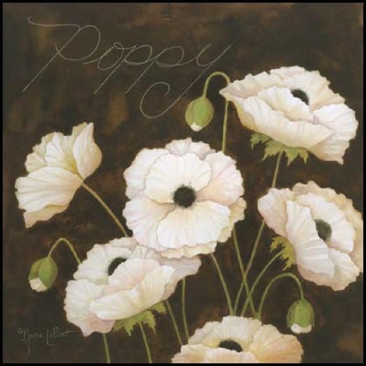 Midnight Poppy By Annie La Point Art Print - 6 X 6-Penny Lane Publishing-The Village Merchant