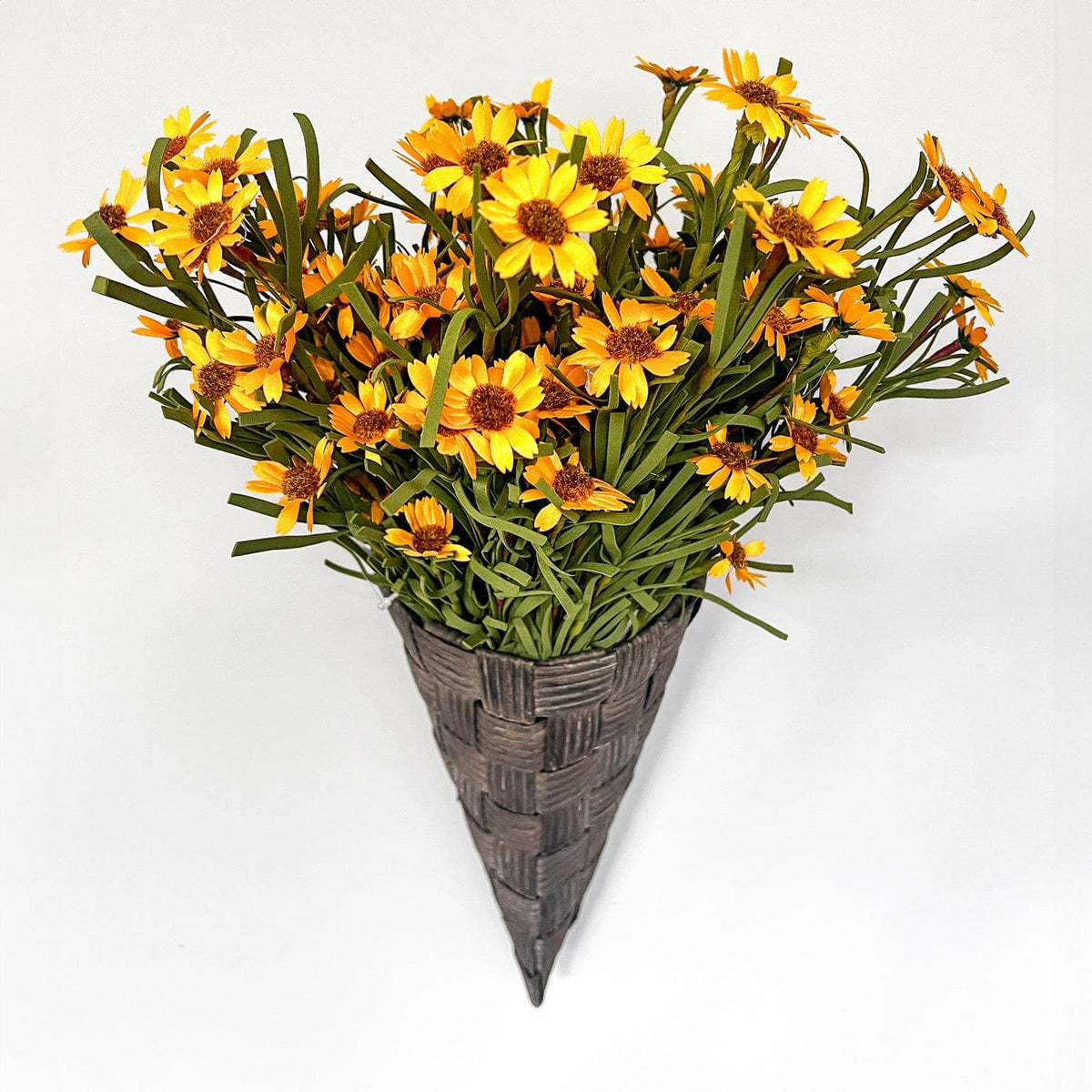 Mini Mountain Daisy Yellow Bush 18&quot; High