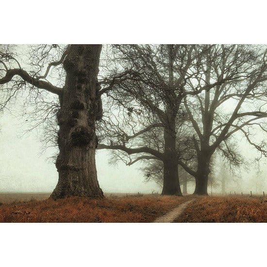 Misty Trees By Martin Podt Art Print - 12 X 18-Penny Lane Publishing-The Village Merchant
