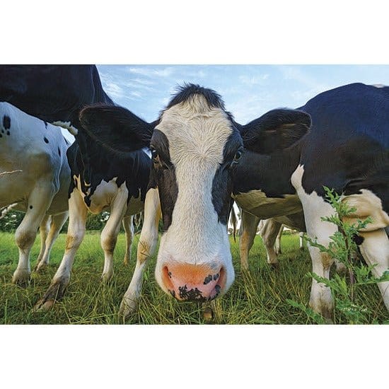 Penny Lane Publishing Moo By Martin Podt Art Print - 12 X 18