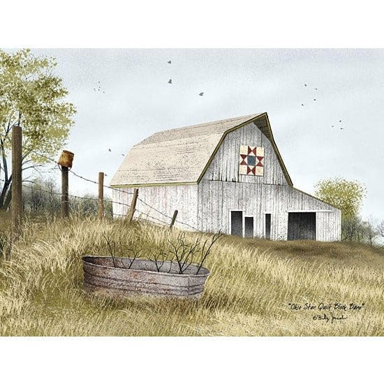 Ohio Star Quilt Block Barn By Billy Jacobs Art Print - 12 X 16-Penny Lane Publishing-The Village Merchant