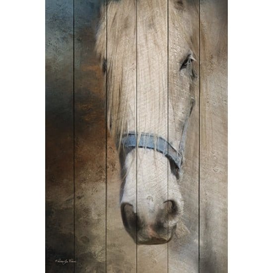 Old Gray Mare By Robin-Lee Vieira Art Print - 12 X 18-Penny Lane Publishing-The Village Merchant