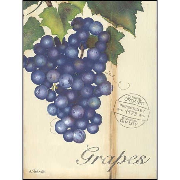 Organic Grapes By Pam Britton Art Print - 12 X 16-Penny Lane Publishing-The Village Merchant