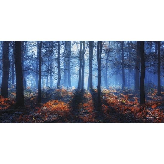 Out Of The Blue By Martin Podt Art Print - 9 X 18-Penny Lane Publishing-The Village Merchant