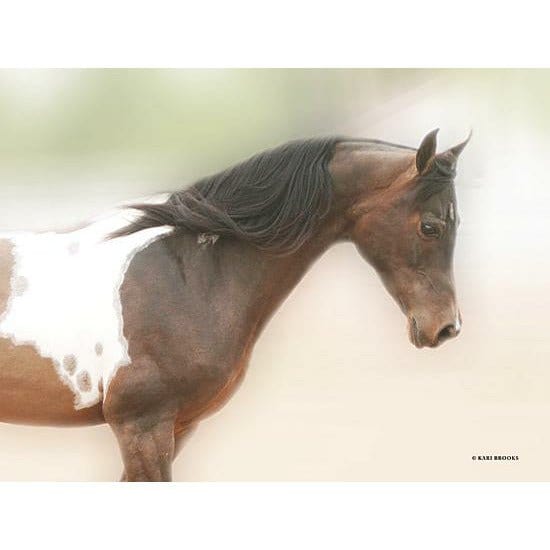 Penny Lane Publishing Painted Beauty By Kari Brooks Art Print - 12 X 16