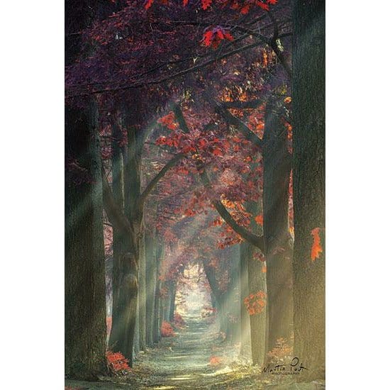 Path To Happiness By Martin Podt Art Print - 12 X 18-Penny Lane Publishing-The Village Merchant