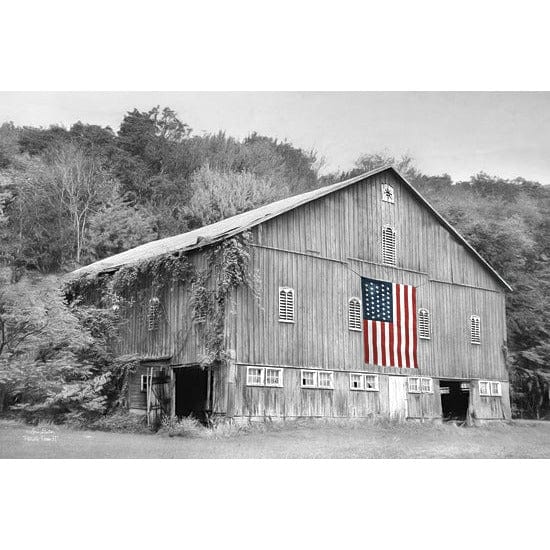 Patriotic Farm II By Lori Deiter Art Print - 12 X 18-Penny Lane Publishing-The Village Merchant