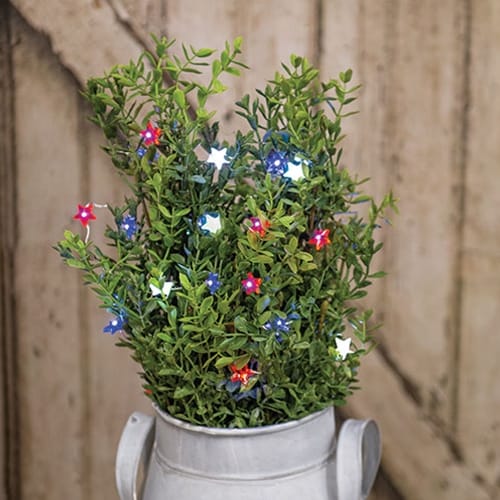 Patriotic Mini Star Light String / Strand Battery Operated LED Timer 20 Count
