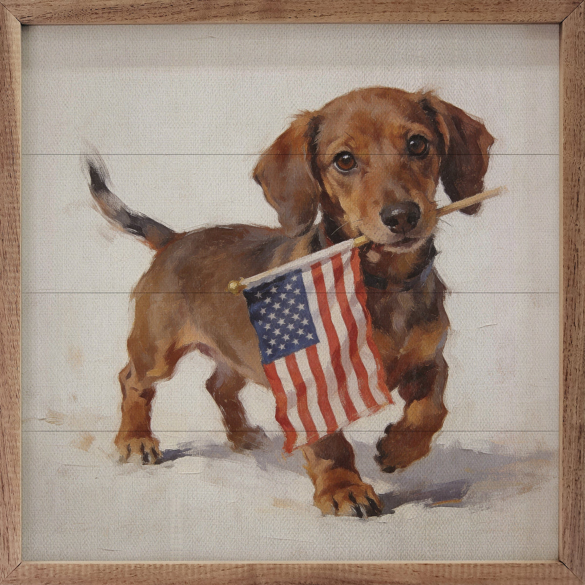 Patriotic Pets Dachshund Printed and Framed Wall Sign